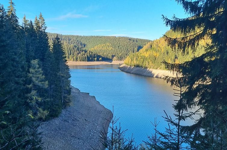 Guest house 0328717 - Apartment Thuringia - Appartement Landhaus  Schneekopf