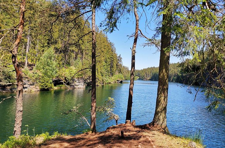Appartement Landhaus  Schneekopf