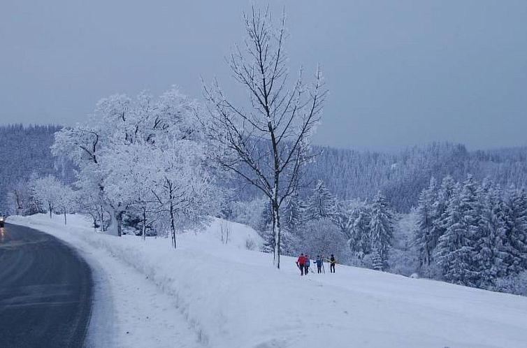 Appartement Landhaus  Schneekopf