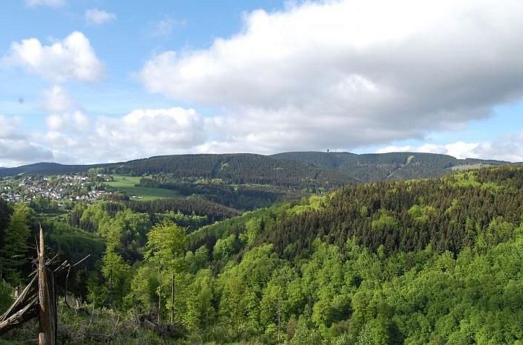 Appartement Landhaus  Schneekopf
