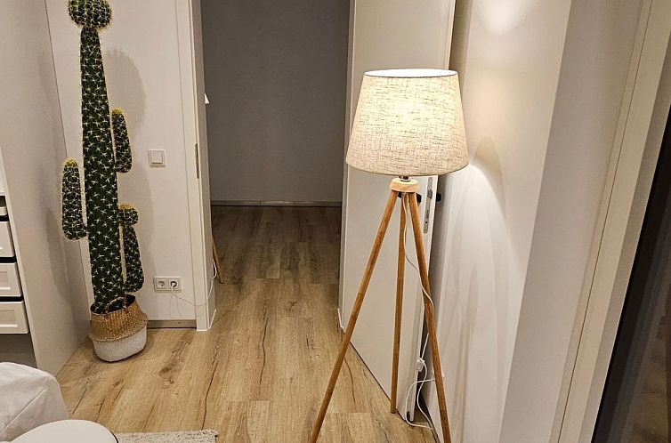 Appartement UG Neubau City