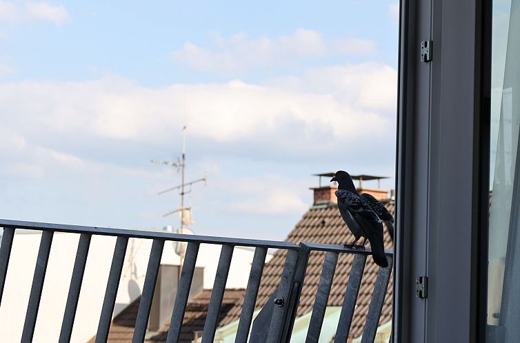 Appartement Munich Finest Apartments 19