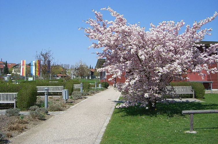 Appartement Herrliche Ferienwohnung mit Grill und Garten