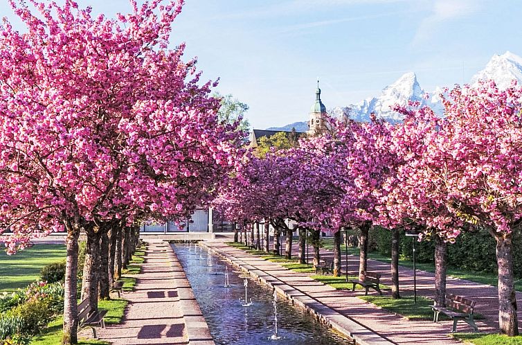 Appartement mit Balkon in guter Ausflugslage