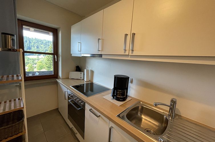 Appartement Alpenappartement Buchenhöhe A301