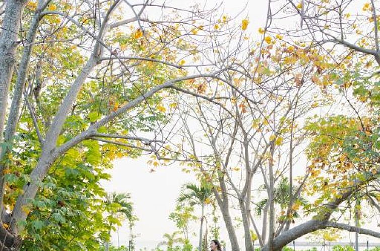 Bann Pae Cabana Hotel And Resort