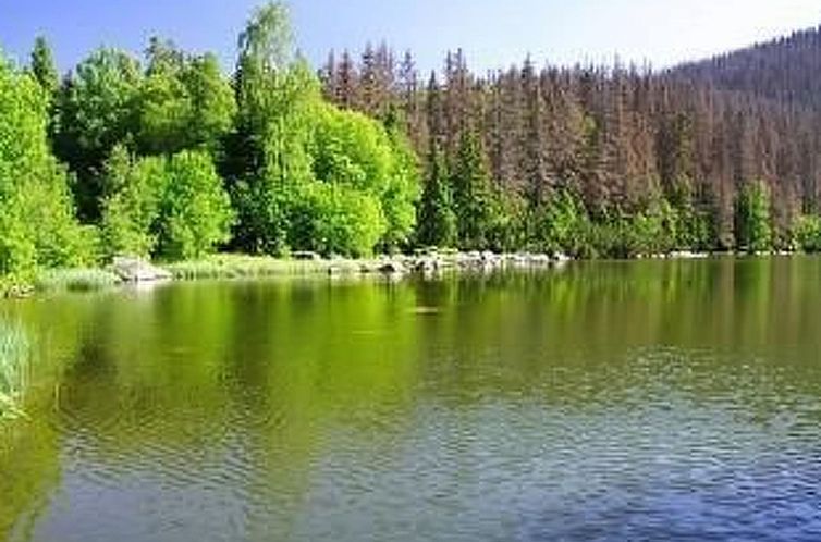 Vakantiehuis Pfenniggeiger- Hütte