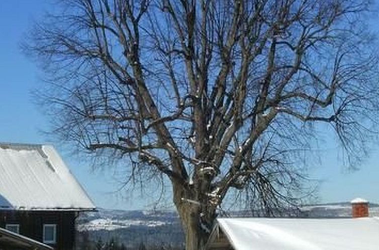 Vakantiehuis zur Linde