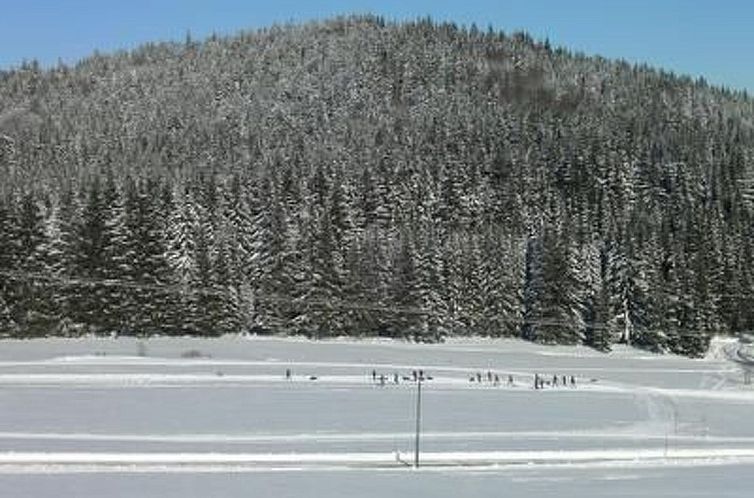 Vakantiehuis zur Linde