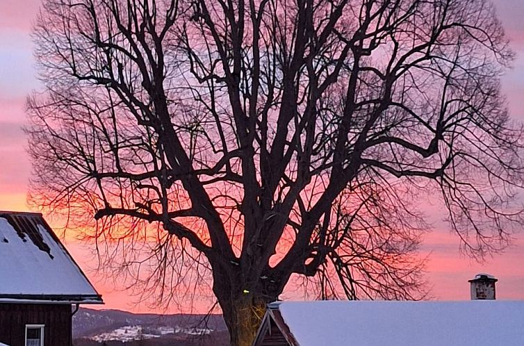 Vakantiehuis zur Linde