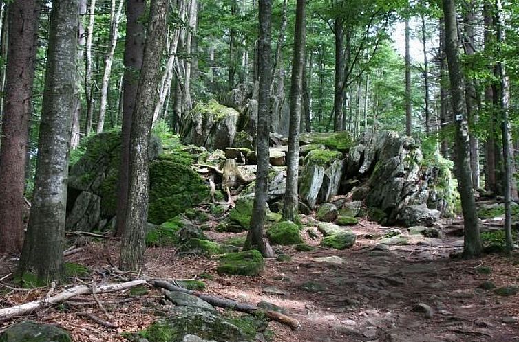 Appartement Haus Annemarie