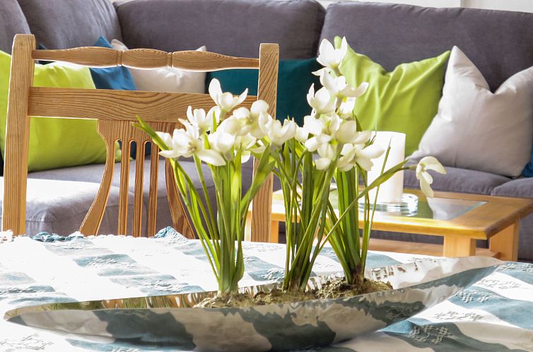 Vakantiehuis Fischer