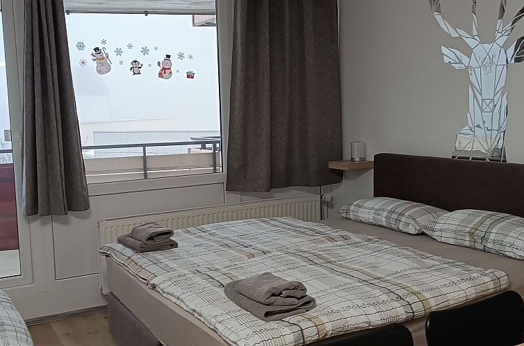 Unterkunft 03310313 - Appartement Bayern - Appartement Bayernwald Apartment