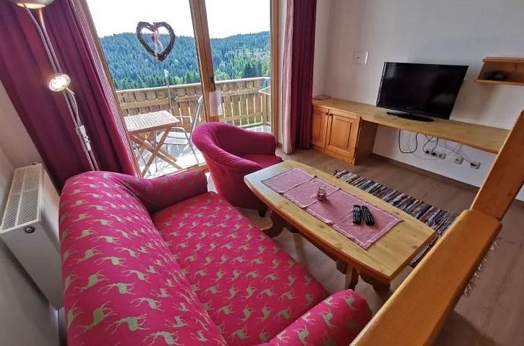 Appartement Traum Ferienwohnung in St. Englmar inkl. aktivCa