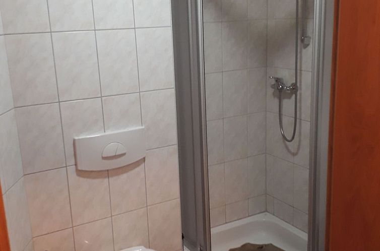 Appartement Traum Ferienwohnung in St. Englmar inkl. aktivCa