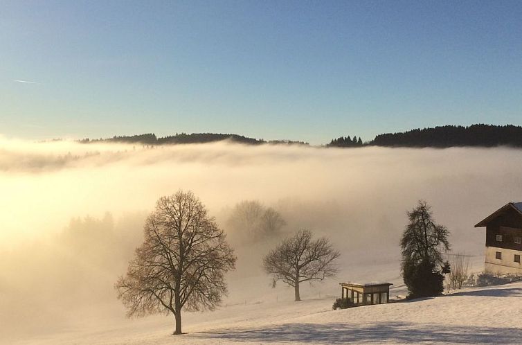 Appartement im Bayerischen Wald inkl. aktivCard