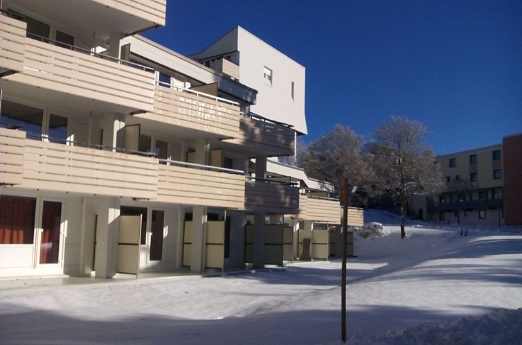 Unterkunft 03310318 - Appartement Bayern - Appartement Sonnenschein in Sankt Englmar