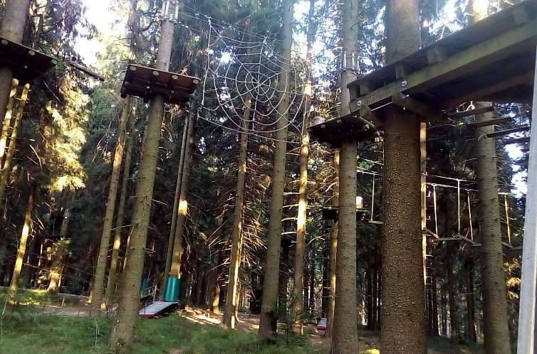 Appartement Sonnenschein in Sankt Englmar