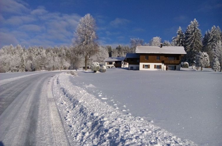 Appartement Sonnenschein in Sankt Englmar