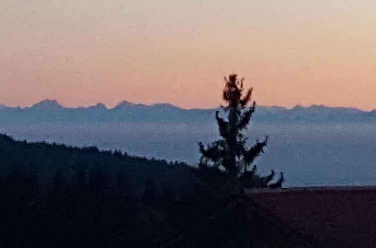 Appartement Bayernwald Idyll