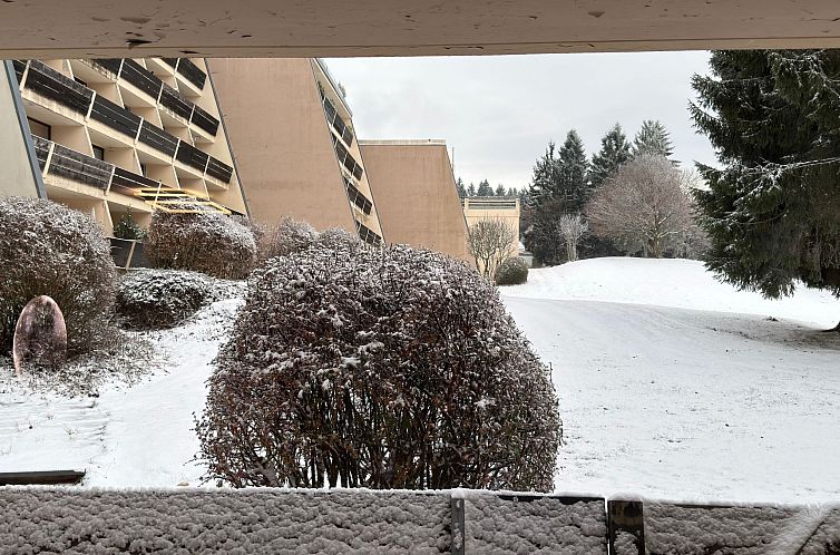 Appartement Apartment Luna