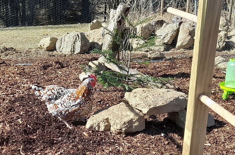 Vakantiehuis Chalet Sven