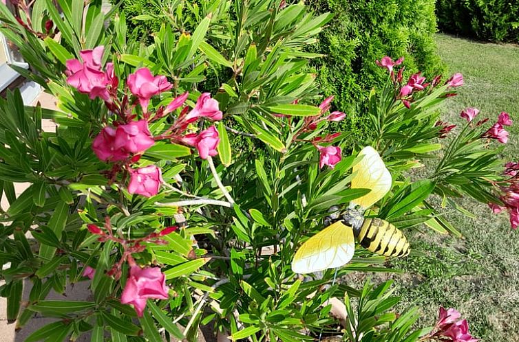 Vakantiehuis in Spiegelau