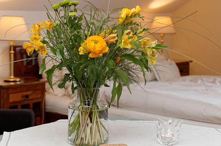 Appartement Studio Predigtstuhl