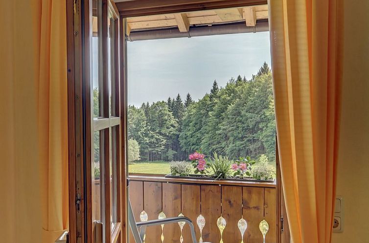 Appartement Wohnung Falkenstein