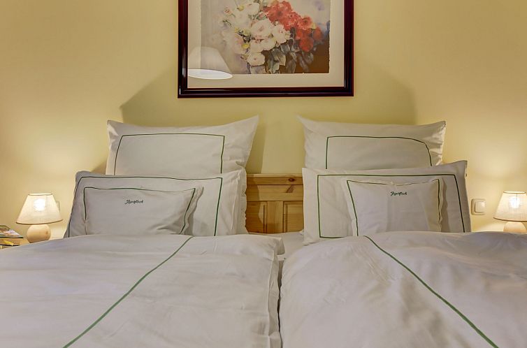 Appartement Wohnung Falkenstein