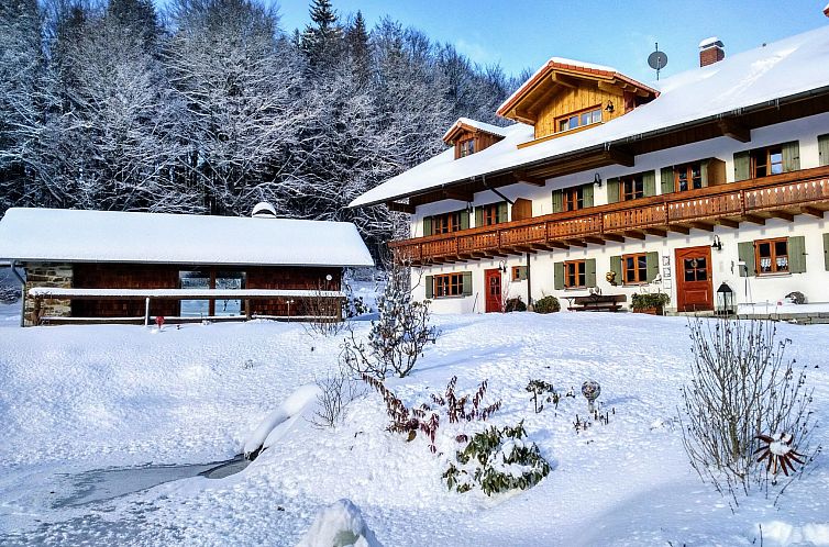 Appartement Wohnung Almberg