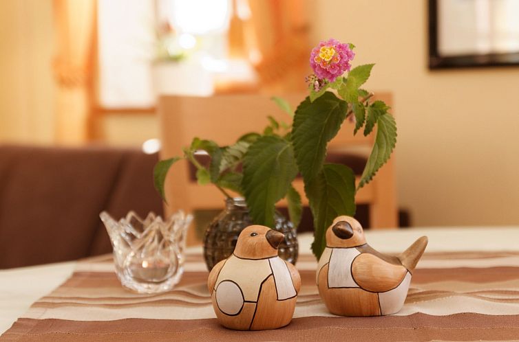 Appartement Wohnung Lusen