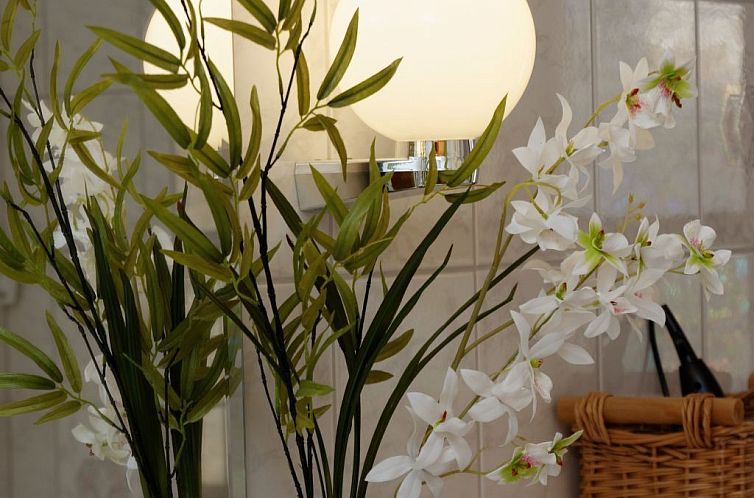 Appartement Siebensteinkopf