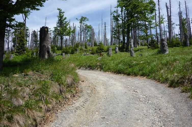 Appartement Moderne Ferienwohnung mit Gartennutzung