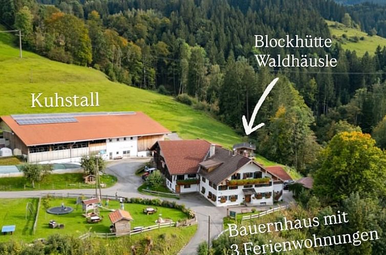 Vakantiehuisje in Rettenberg