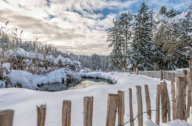 Guest house 03313114 - Apartment Bavaria - Appartement mit Sauna