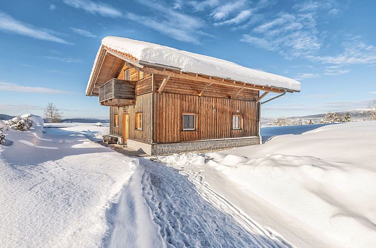 Vakantiehuis Hoizhaus am Badlberg