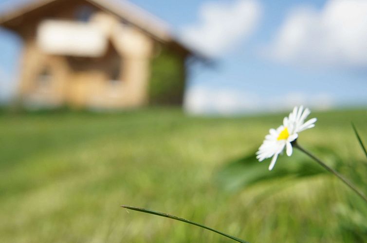 Vakantiehuis Hoizhaus am Badlberg