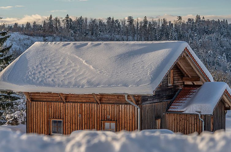 Vakantiehuis Hoizhaus am Badlberg
