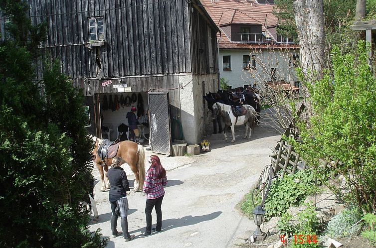 Appartement mit zwei Schlafzimmern und Balkon