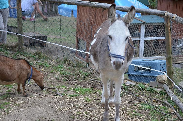 Appartement mit zwei Schlafzimmern und Balkon