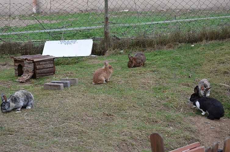 Appartement auf einem Reiterhof