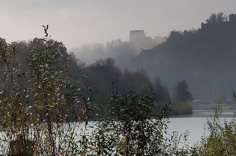 Vakantiehuis Tiny Haus Raabennest