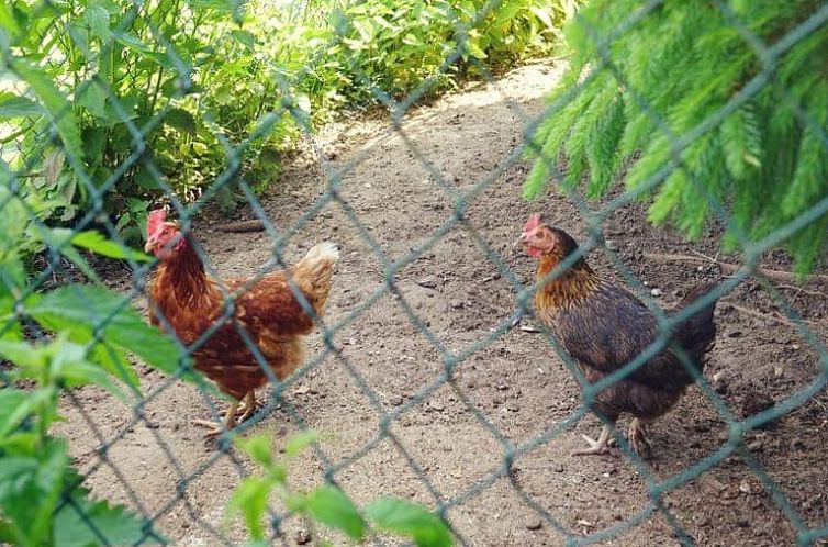 Vakantiehuisje in Oberstaufen