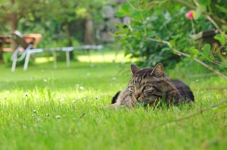 Vakantiehuisje in Oberstaufen