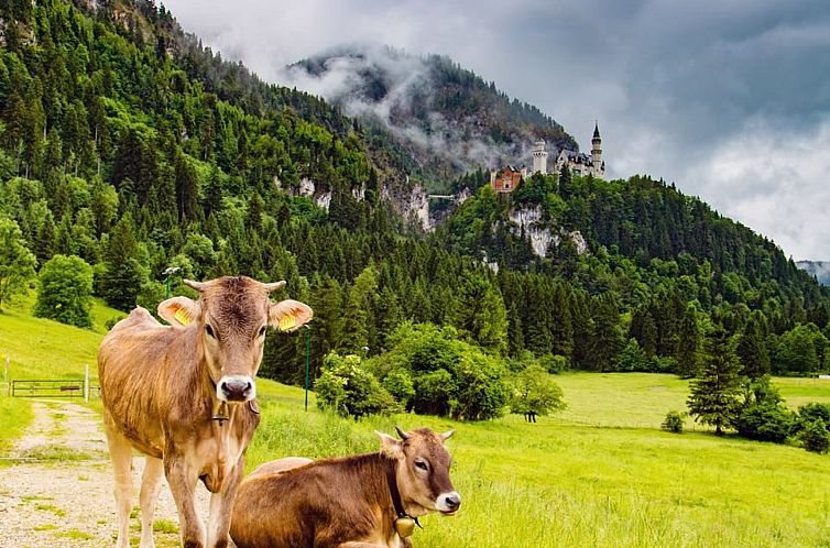 Appartement Sehnsucht Allgäu