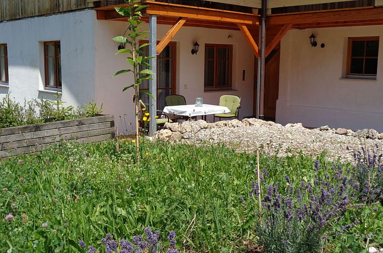 Appartement am Waldrand, ideal für Bergsport