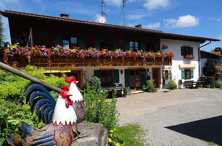 Guest house 03315313 - Apartment Bavaria - Appartement Schwalbe