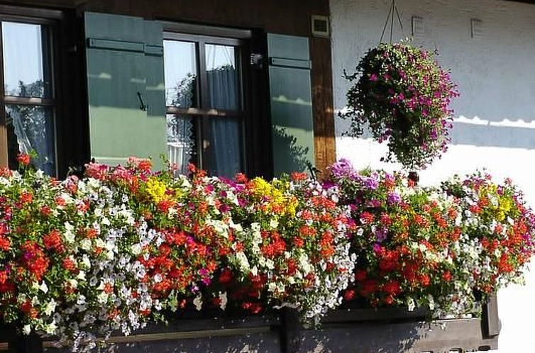 Appartement FeWo Bärli