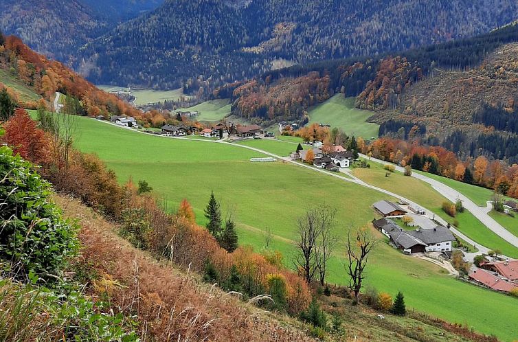 Appartement Fewo Rheinfeld